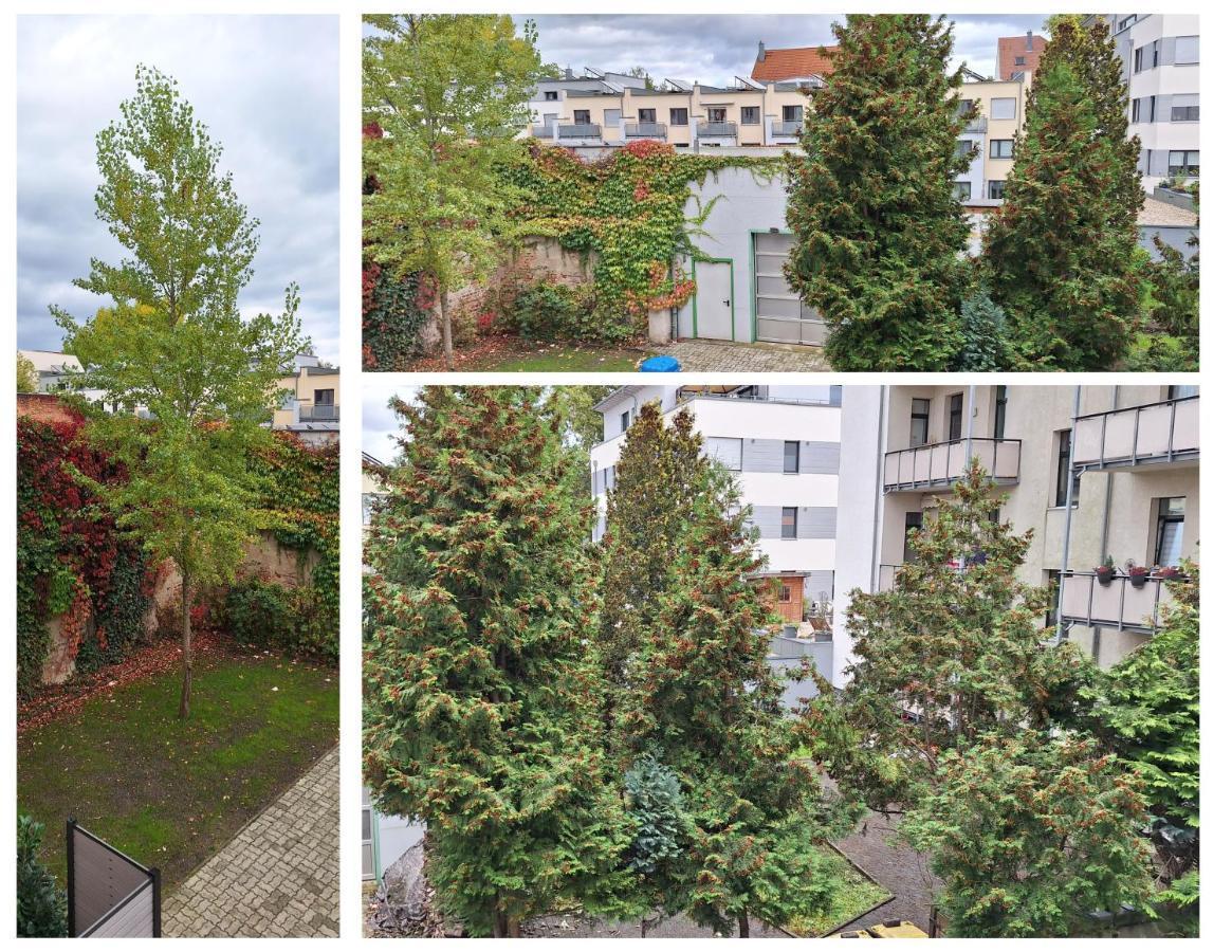 Modernes Einraumzimmer Mit Eigenem Bad, Balkonnutzung, Zentrumsnah - In 10 Minuten Mit Dem Rad Oder Dem Oepnv Zur Arena Und In Leipzigs Innenstadt 외부 사진